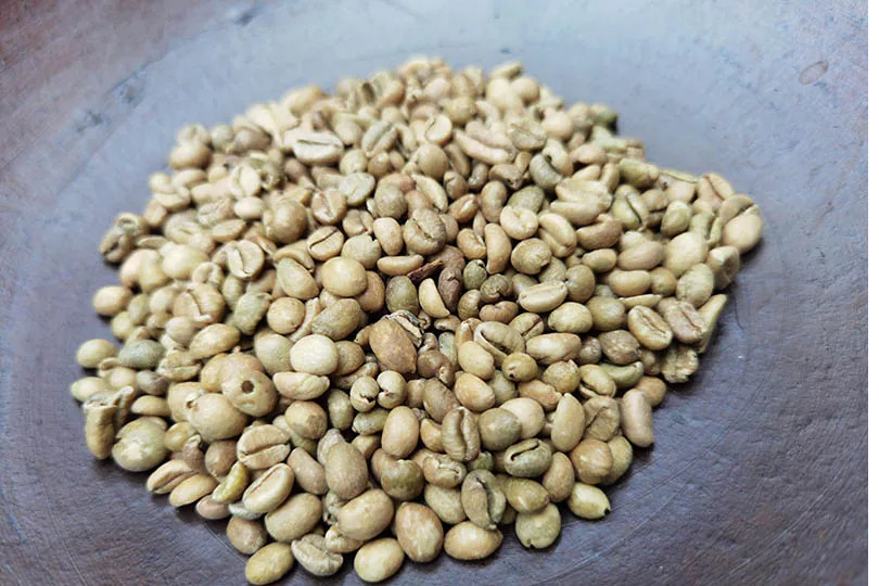 roasting-excelsa-beans